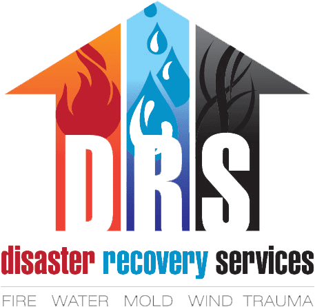 DisasterRecoveryServices_LogoV2